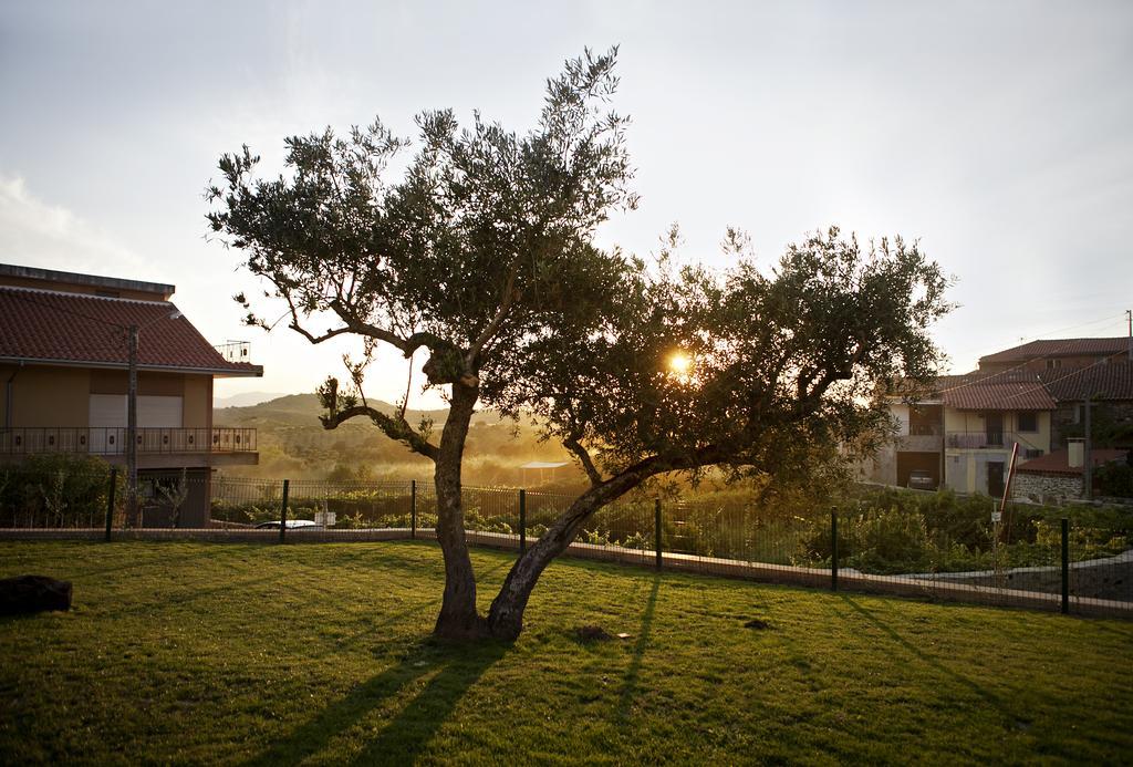 Casas De Vale De Lobo Villa Mirandela Luaran gambar